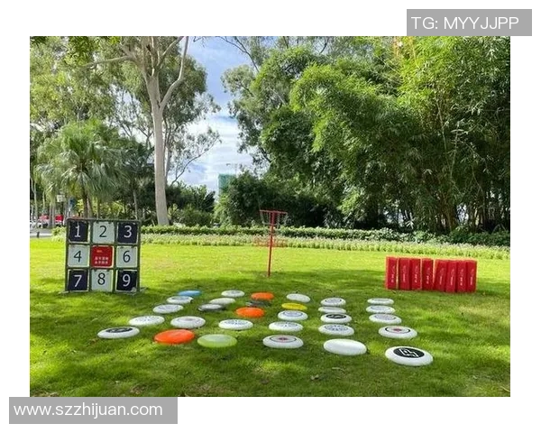 南京飞盘队的战术控制解析与飞盘运动的热潮探讨