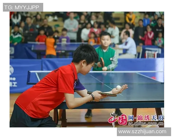 成都乒乓球队防守策略分析与比赛表现的深度探讨